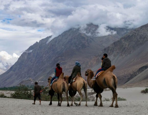 group-of-people-riding-on-camels-in-hunder-village-2023-03-08-01-33-40-utc