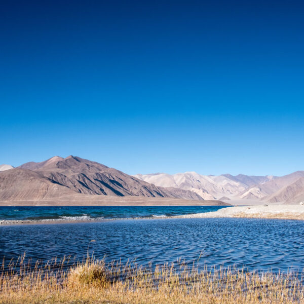 ladakh tour package
