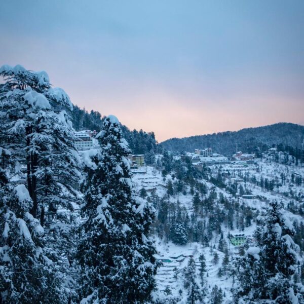 SHIMLA INDIAN TOURS PACKAGES