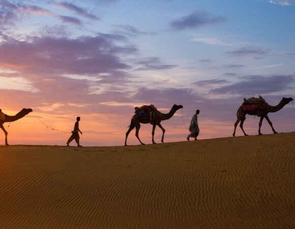 The Essence of Rajasthan